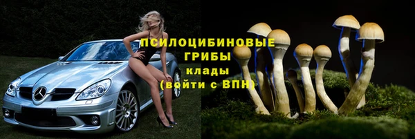 Альфа ПВП Остров