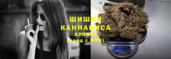 дмт Осинники