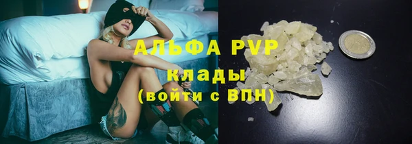 винт Осташков