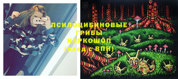 дмт Осинники