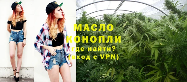 дмт Осинники