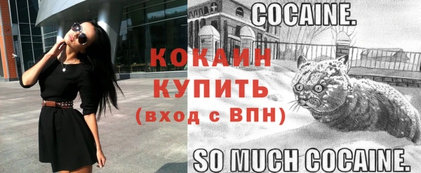 винт Осташков