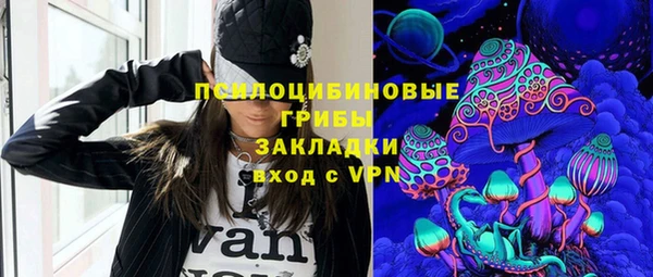винт Осташков