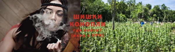 дмт Осинники