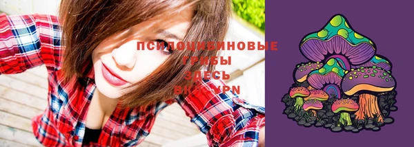винт Осташков