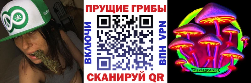Галлюциногенные грибы Psilocybine cubensis  Екатеринбург 